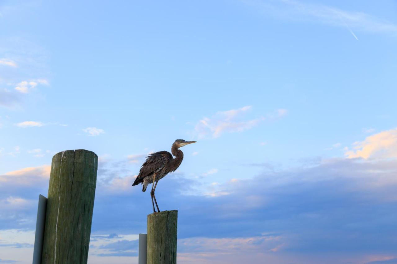 Heritage Villas Pulau Hilton Head Luaran gambar